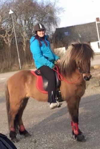 Islænder Magnus billede 2