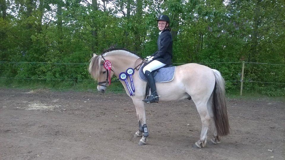 Fjordhest Sylvfin Skovå - Vinder af Mini cup for hest :D hjrk pinse/jubilæums stævne :) billede 12