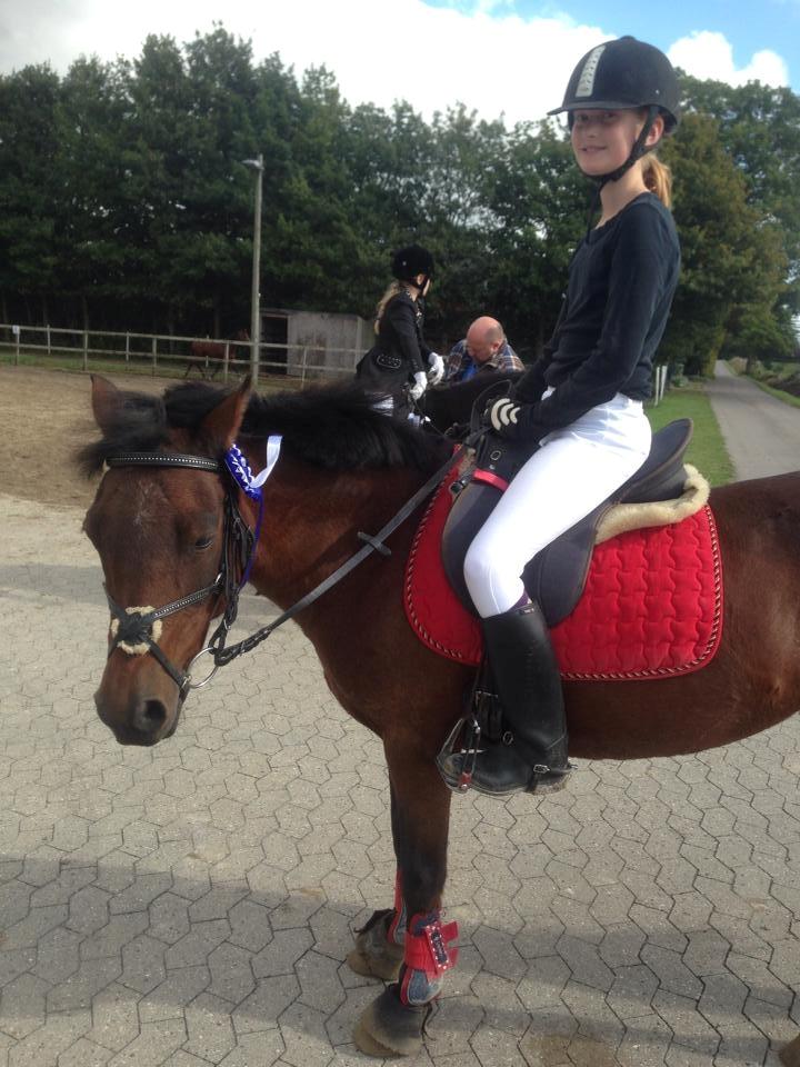 Anden særlig race Zoya - *BEDRE BILLEDER KOMMER* billede 1