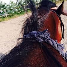 Anden særlig race Zoya billede 6