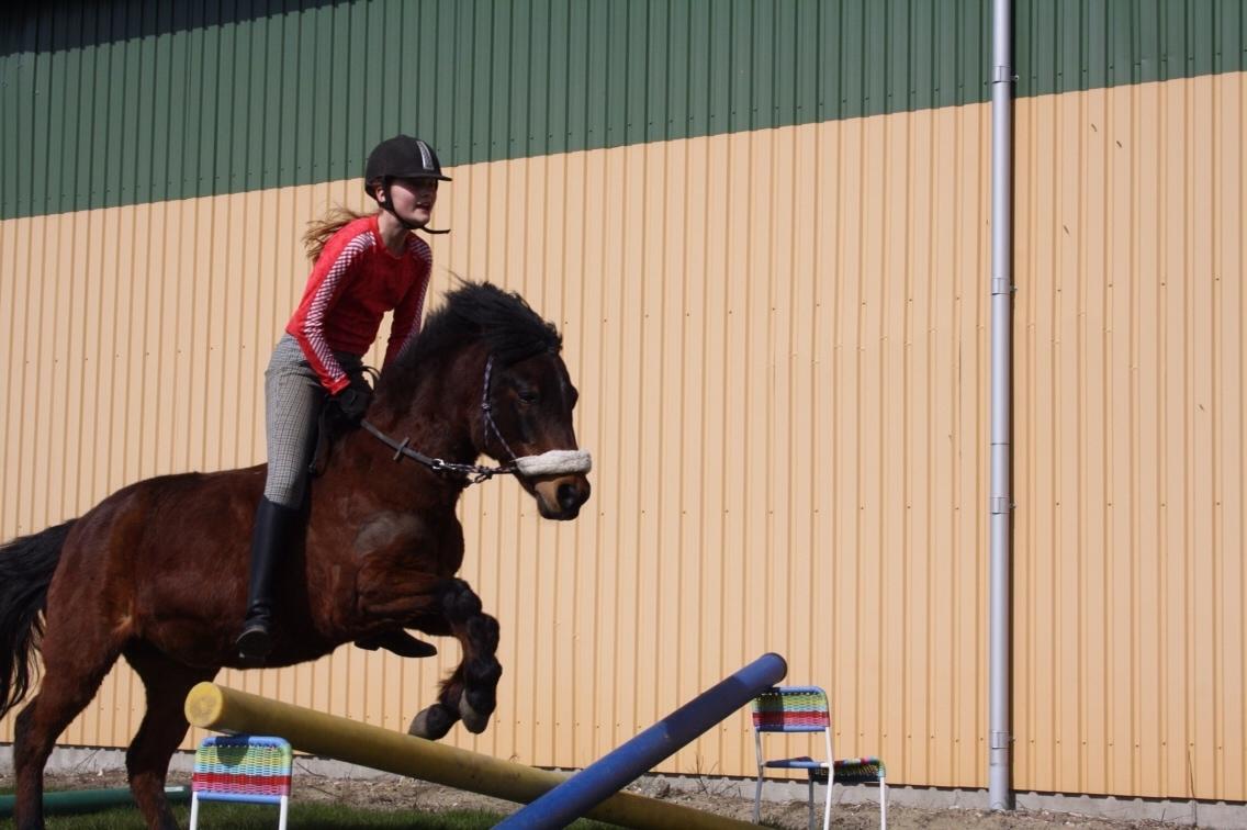 Anden særlig race Zoya billede 8