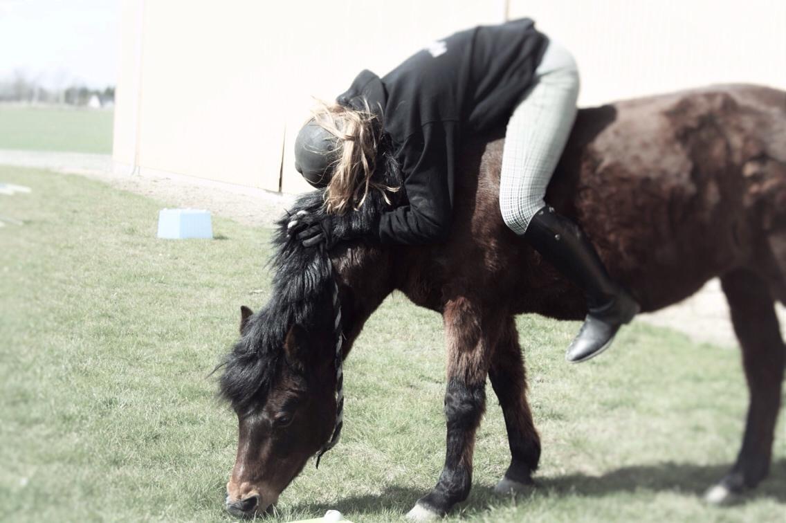 Anden særlig race Zoya billede 9