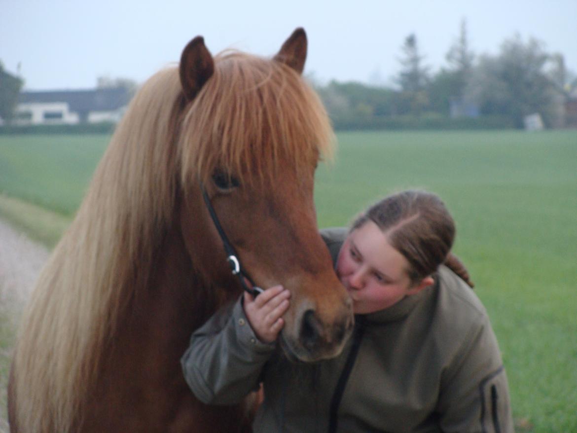 Islænder Skutla fra Anglesey billede 13
