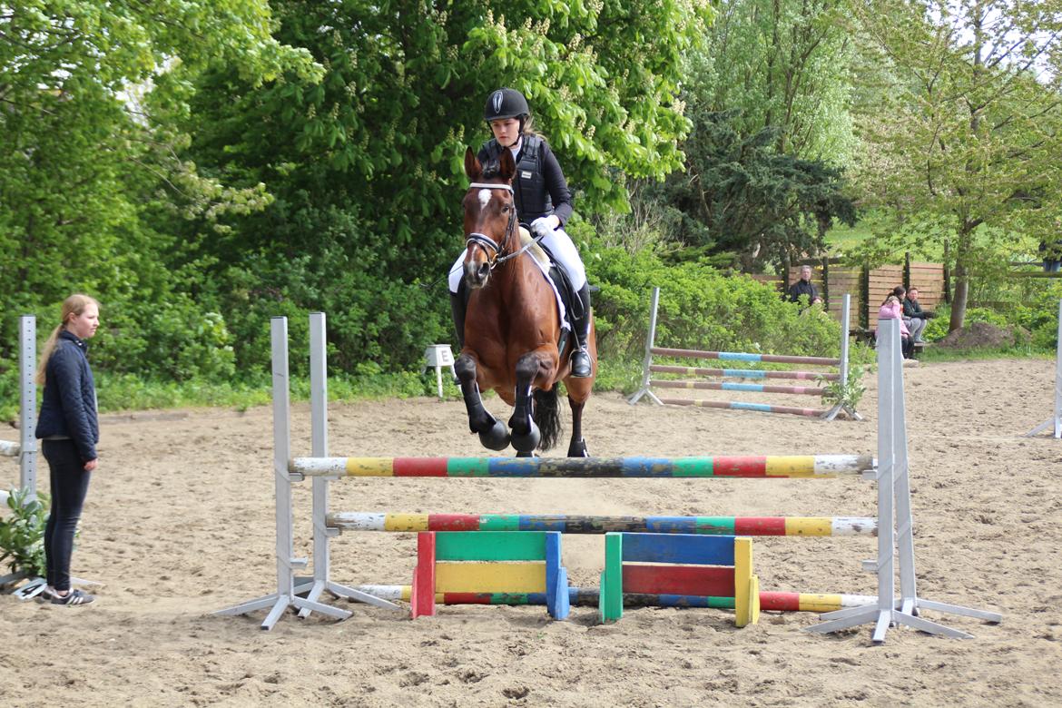 Traver Kenny U.A. - Langspurtlunds Pinsestævne d. 16 maj 2016 billede 14