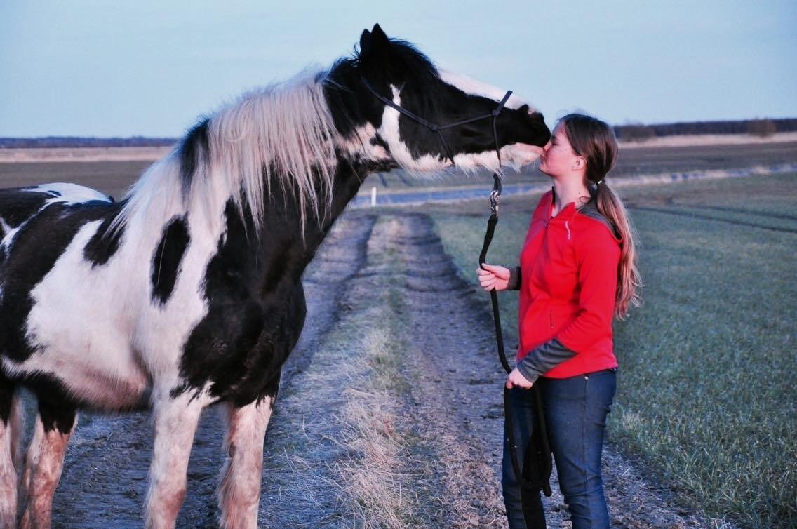 Tinker Filuka billede 1