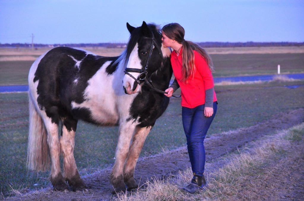 Tinker Filuka billede 3