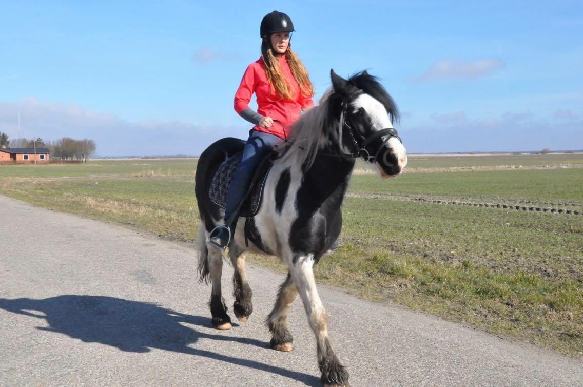 Tinker Filuka billede 4