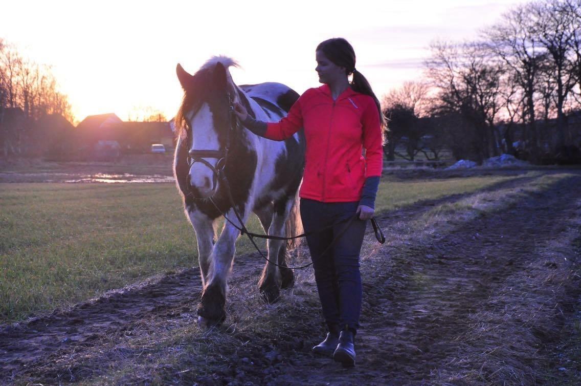 Tinker Filuka billede 5