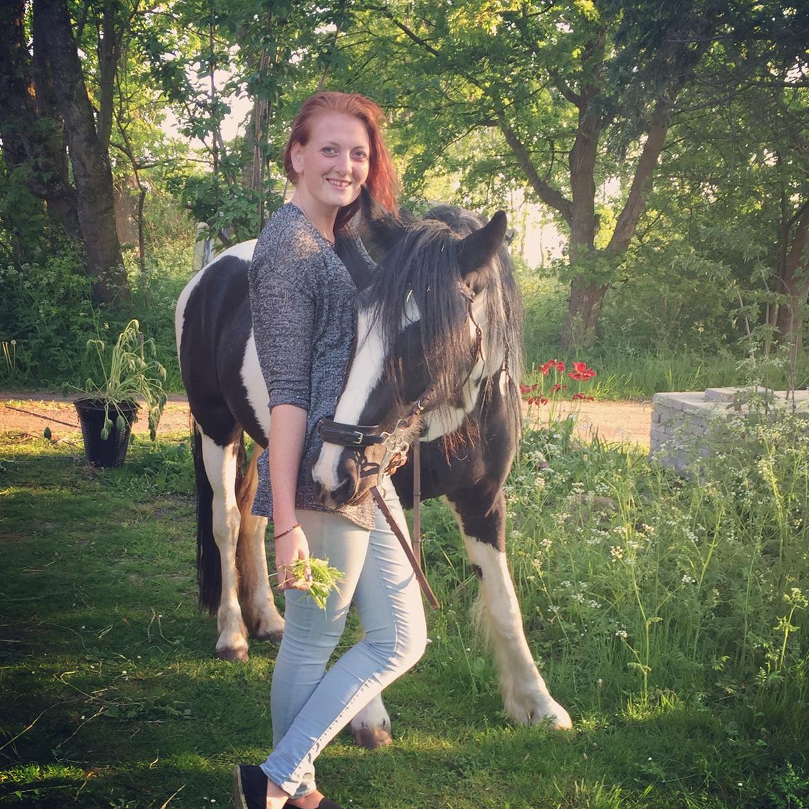 Pinto Lubjiana billede 19