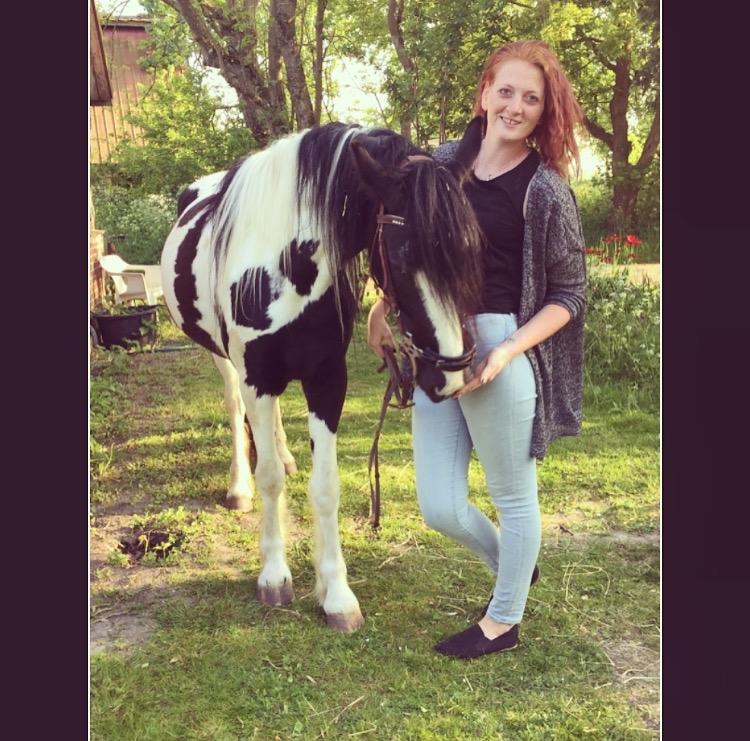 Pinto Lubjiana billede 20