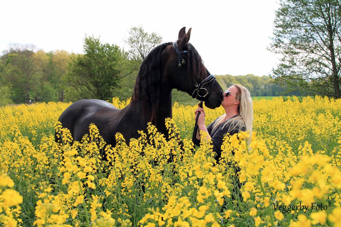 Frieser Jitske Van De Lage Landen billede 8