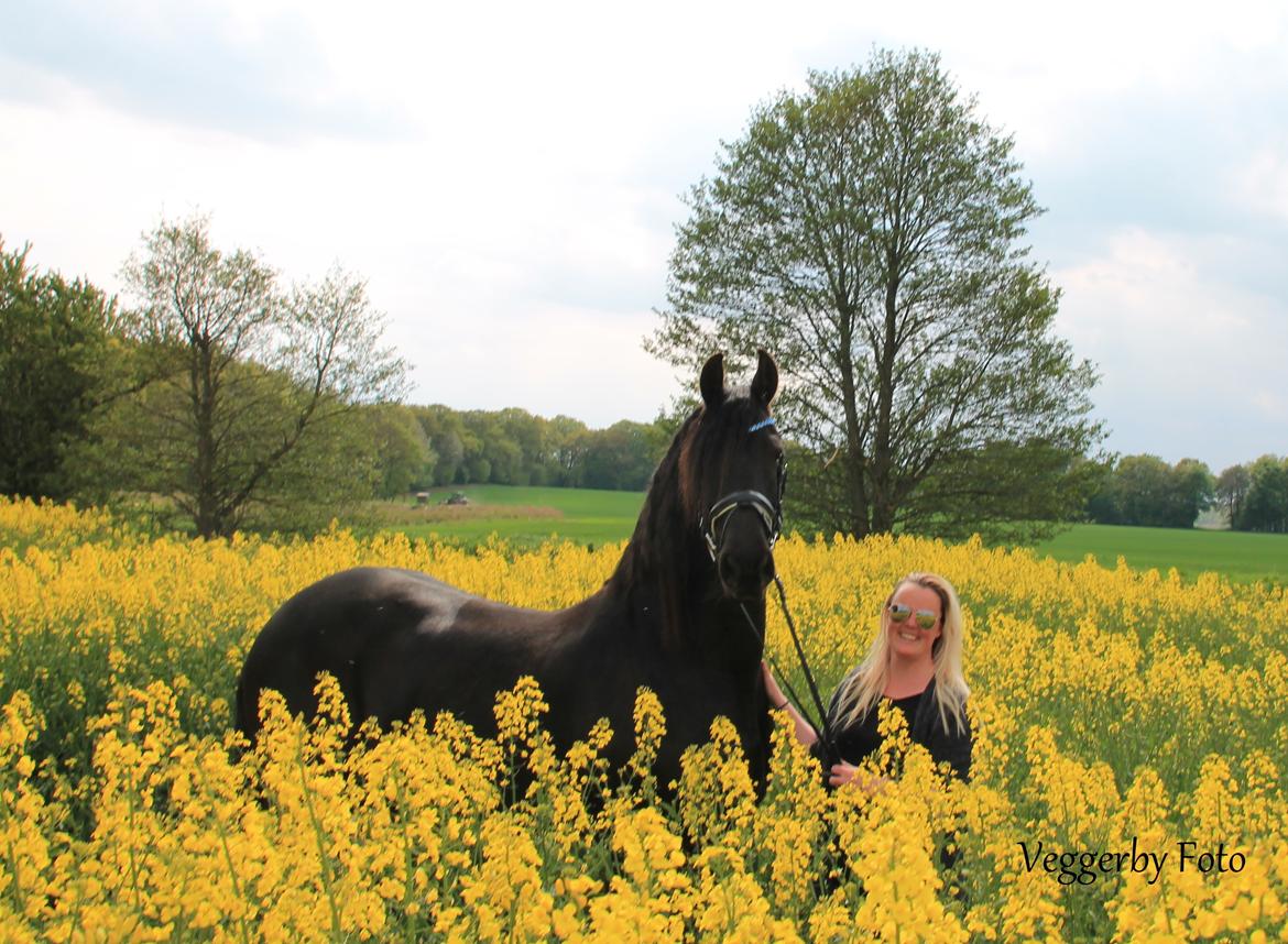 Frieser Jitske Van De Lage Landen billede 1