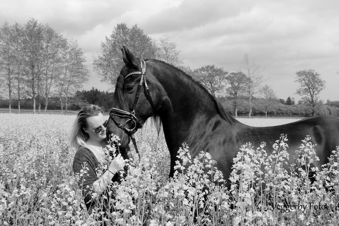 Frieser Jitske Van De Lage Landen billede 7