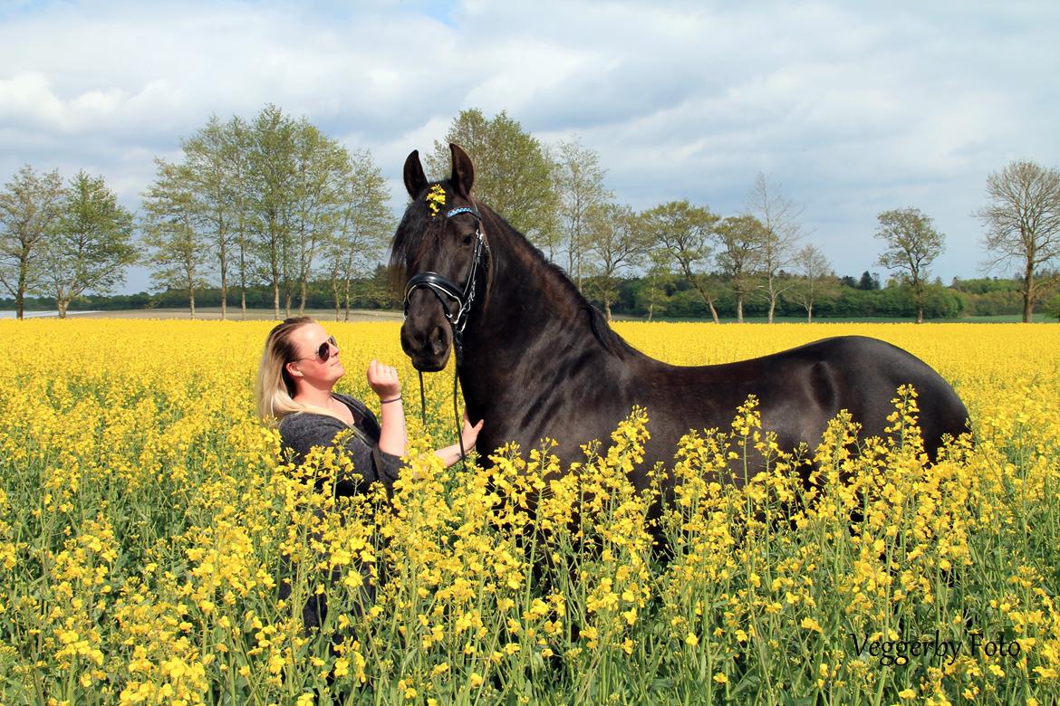 Frieser Jitske Van De Lage Landen billede 9