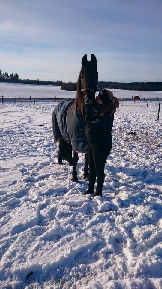Frieser Jitske Van De Lage Landen billede 12