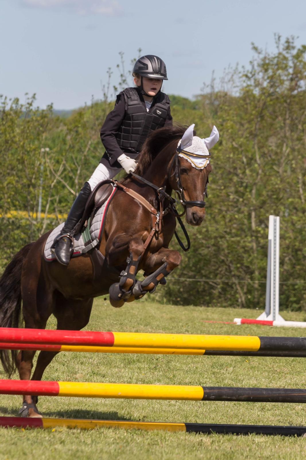 DSP MaarielundsFairytale . SOLGT billede 1