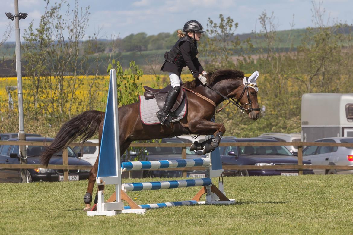 DSP MaarielundsFairytale . SOLGT billede 10