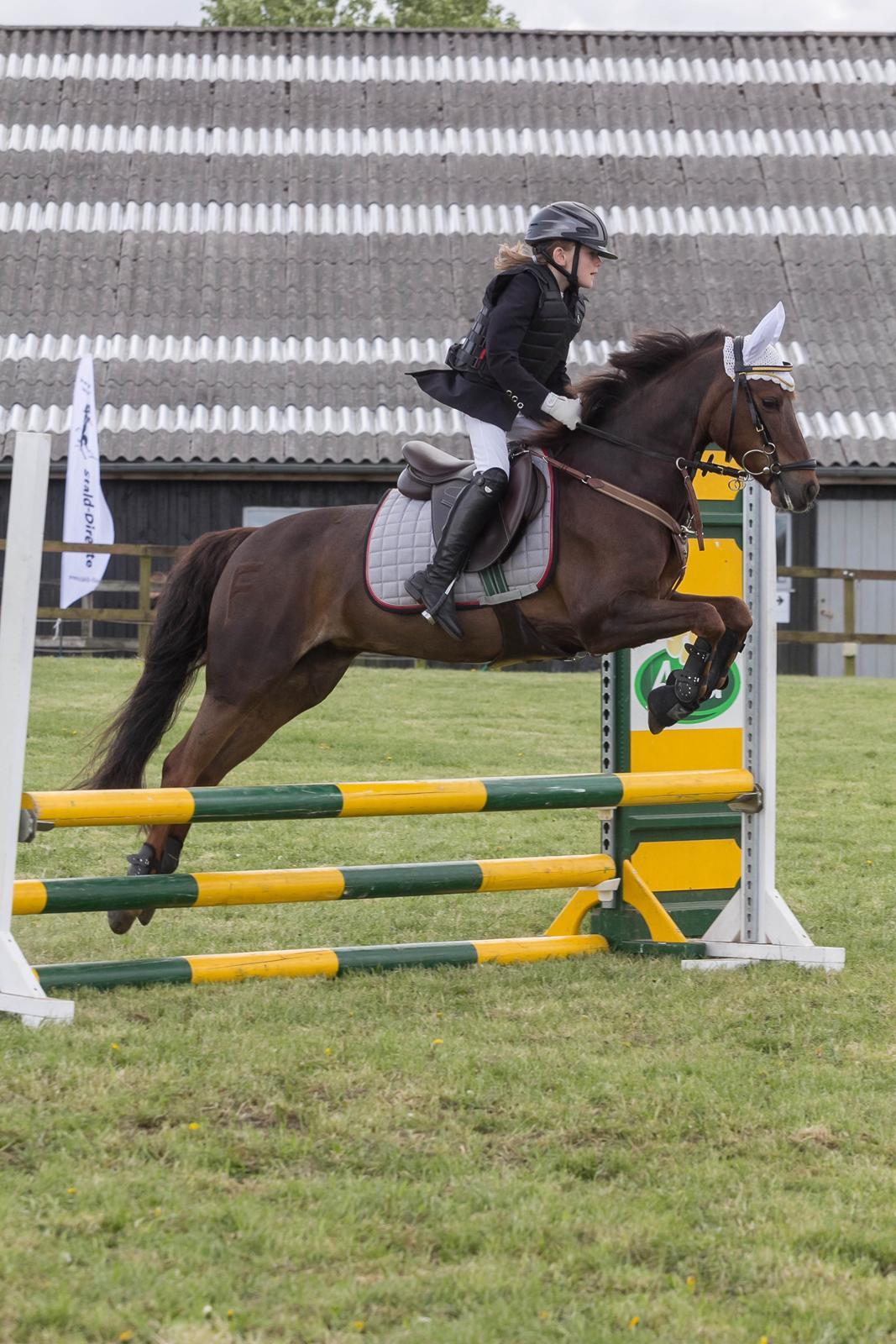 DSP MaarielundsFairytale . SOLGT billede 11