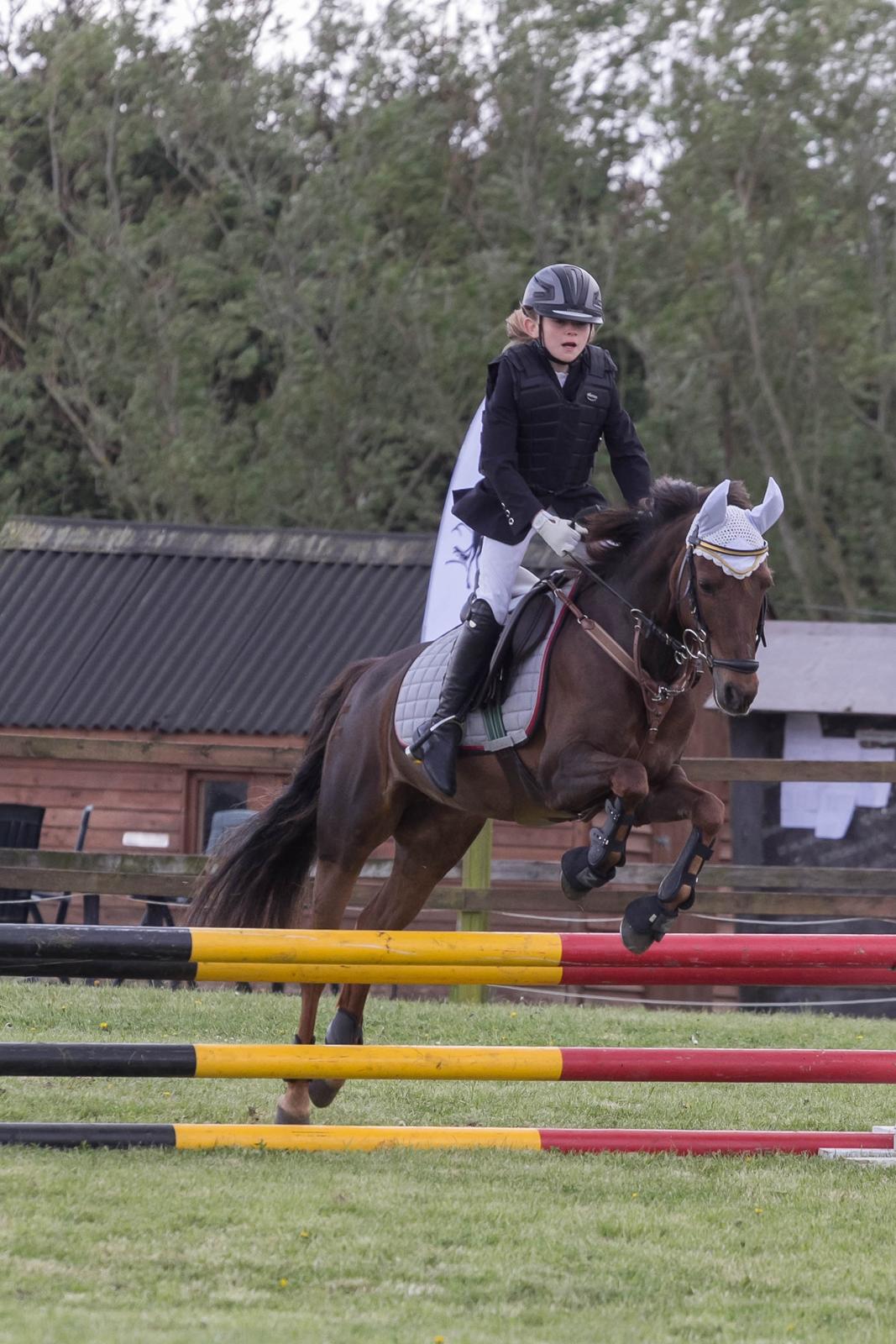 DSP MaarielundsFairytale . SOLGT billede 12