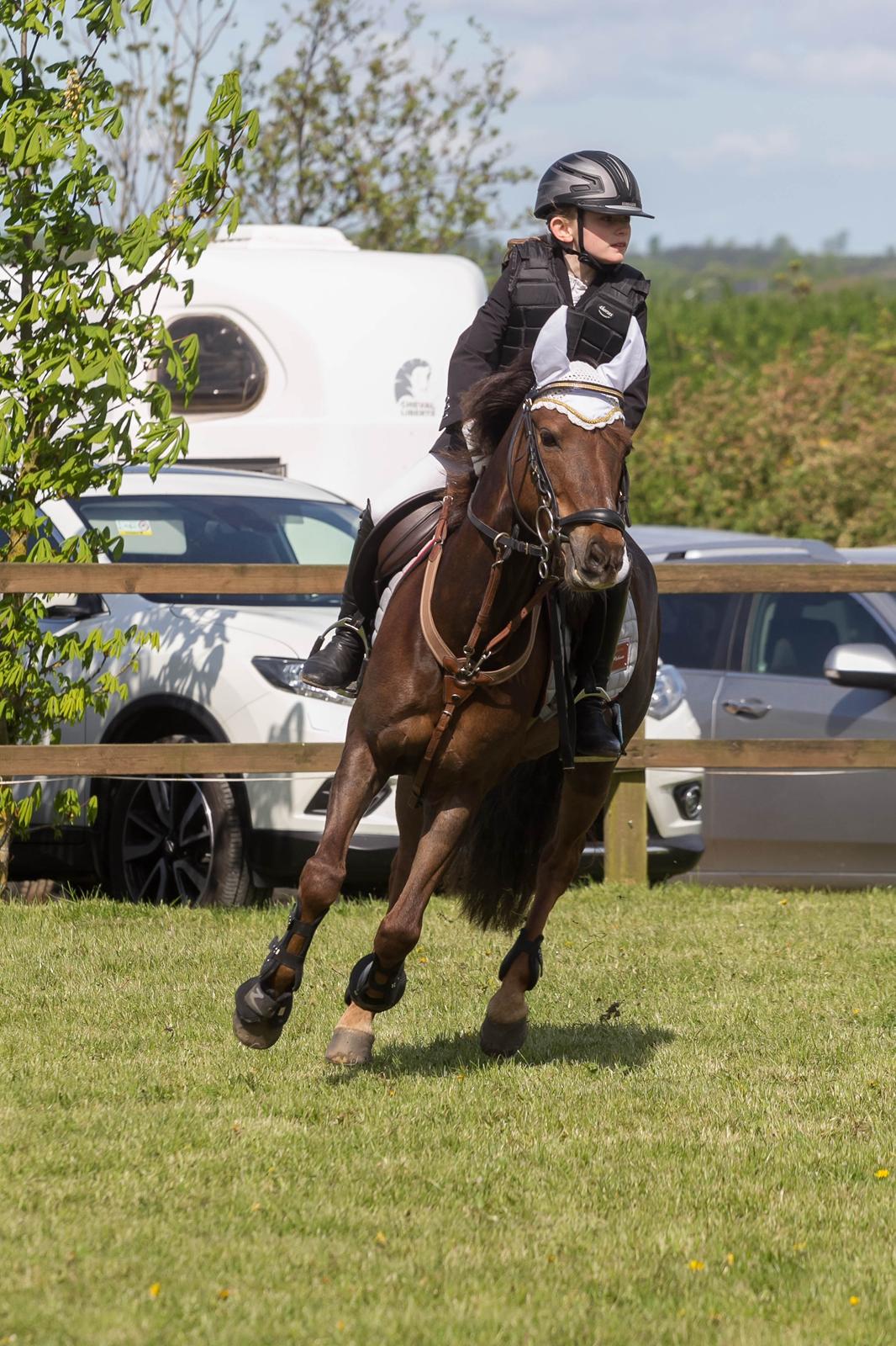 DSP MaarielundsFairytale . SOLGT billede 13