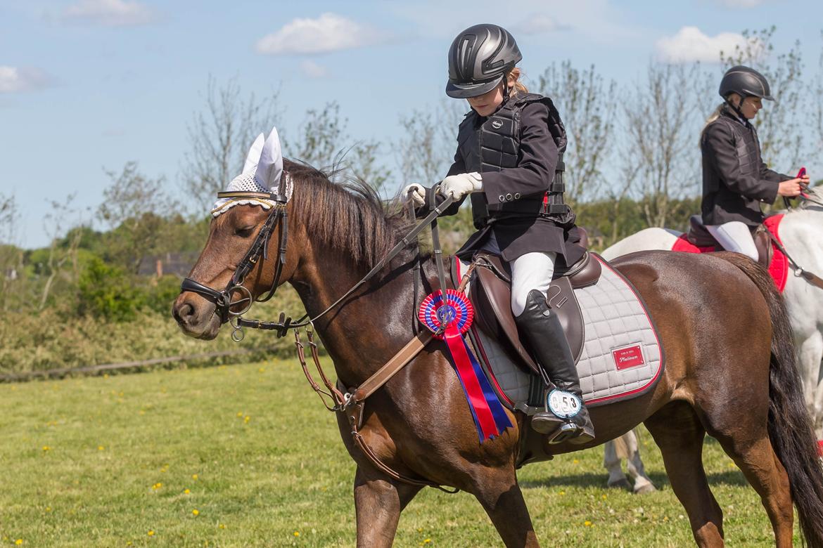 DSP MaarielundsFairytale . SOLGT billede 15