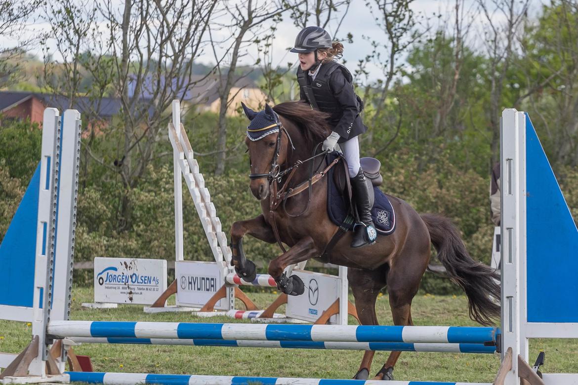 DSP MaarielundsFairytale . SOLGT billede 16