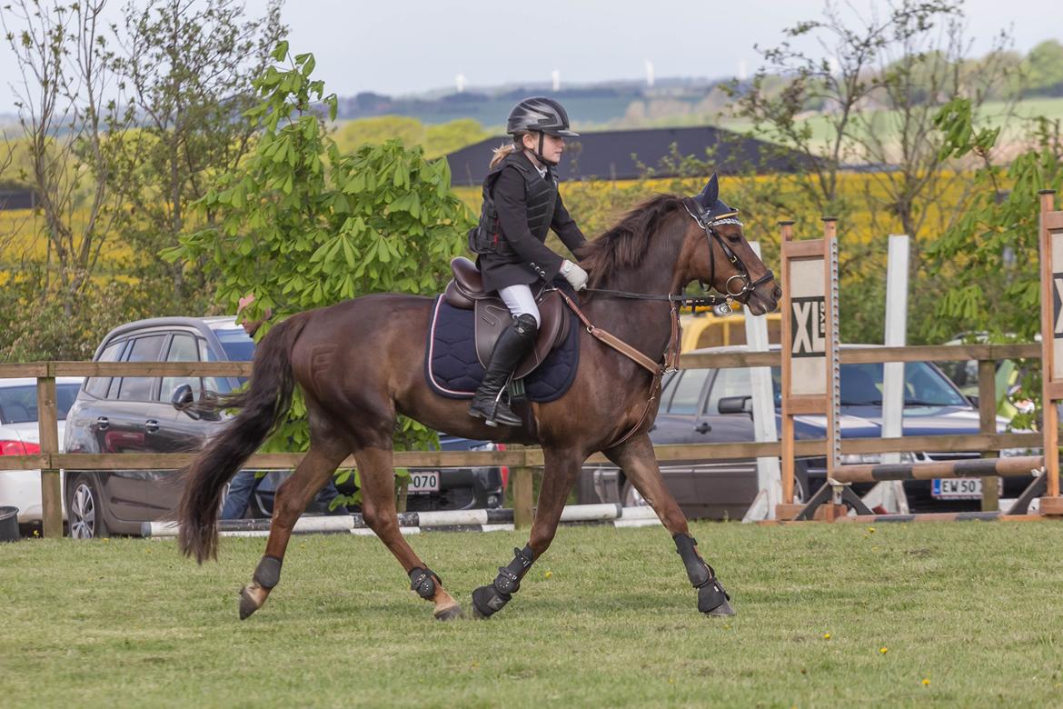 DSP MaarielundsFairytale . SOLGT billede 17