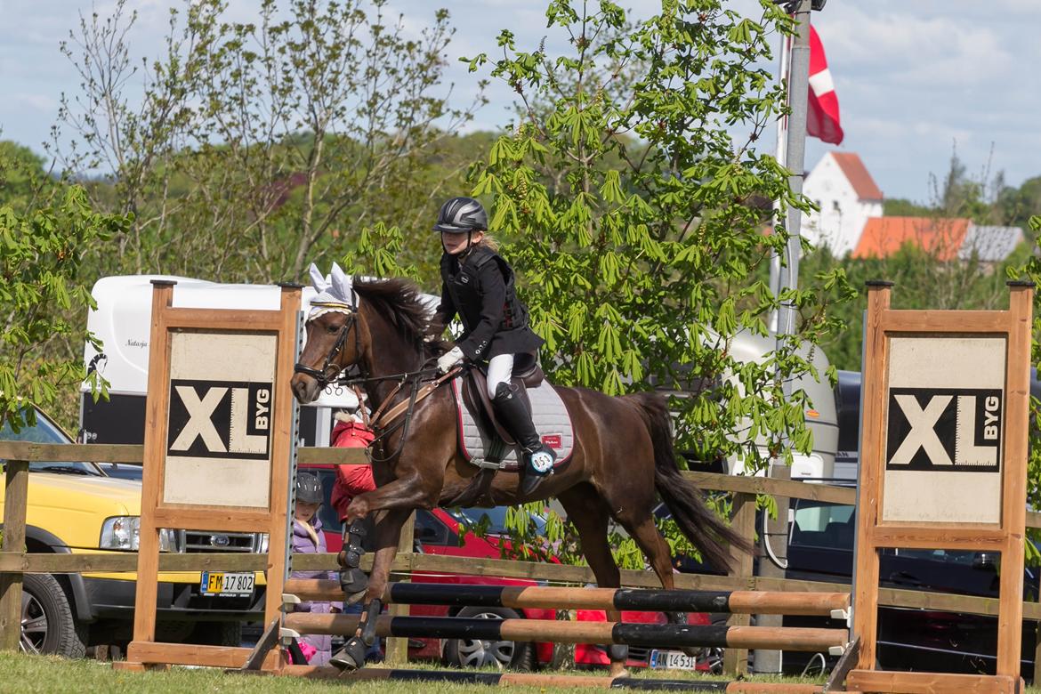 DSP MaarielundsFairytale . SOLGT billede 14