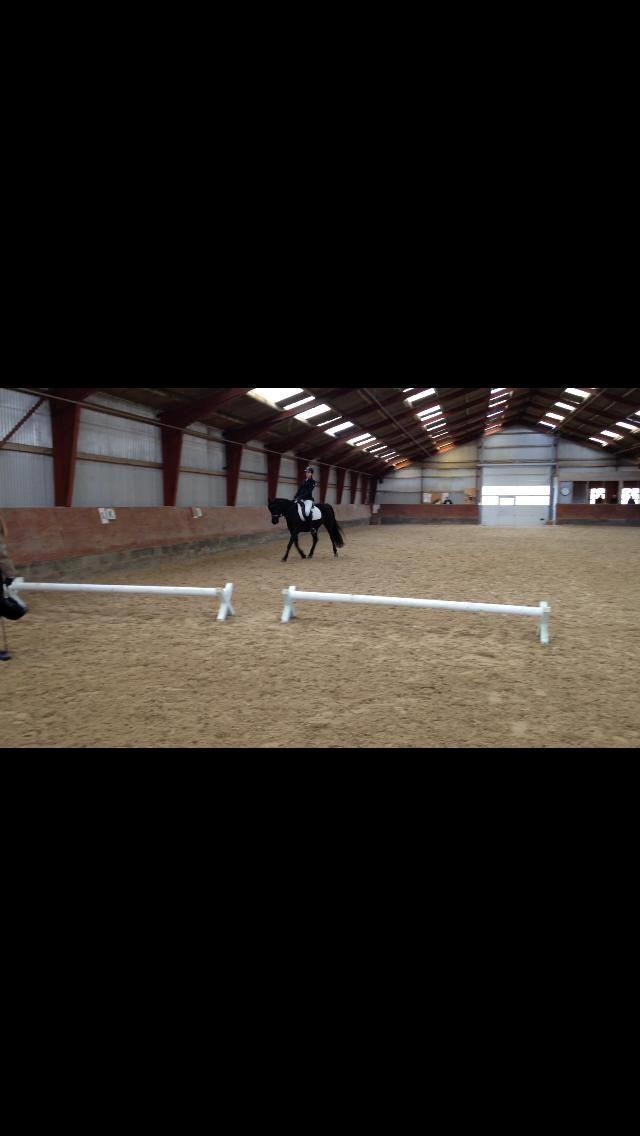 DSP Nørlunds Simone billede 2