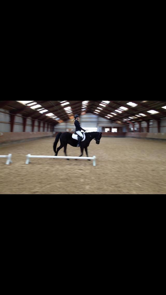 DSP Nørlunds Simone billede 3