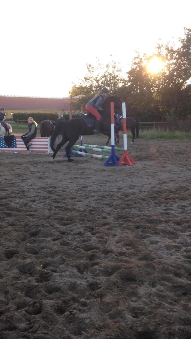 DSP Nørlunds Simone billede 5