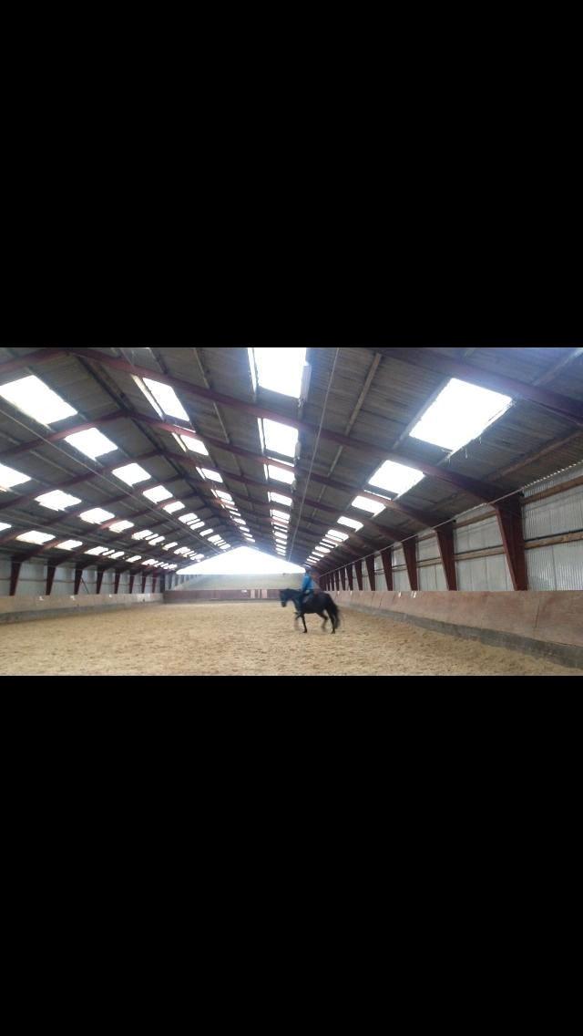 DSP Nørlunds Simone billede 6