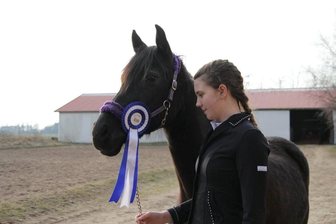 DSP Nørlunds Simone billede 7