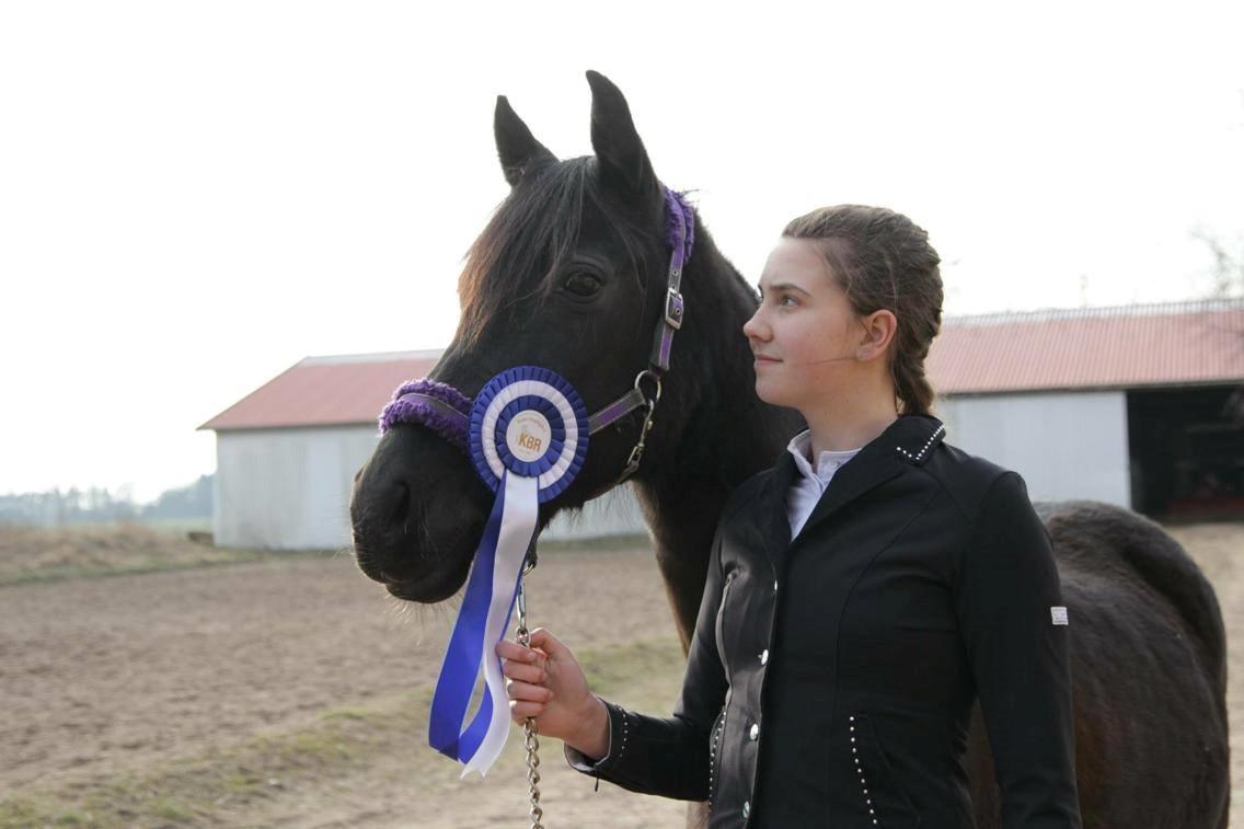 DSP Nørlunds Simone billede 8