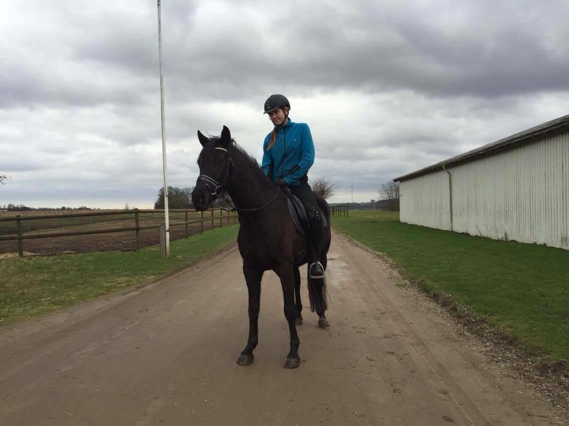 DSP Nørlunds Simone billede 9