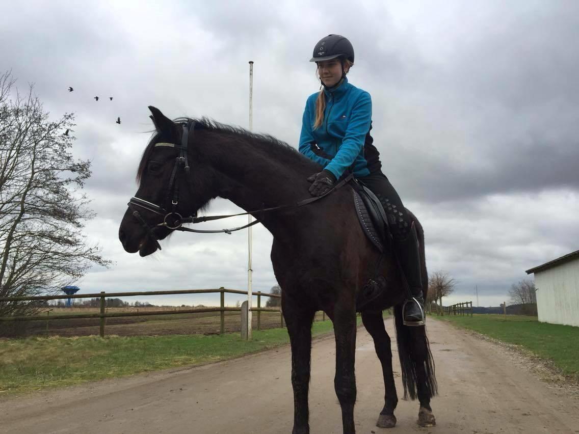 DSP Nørlunds Simone billede 10