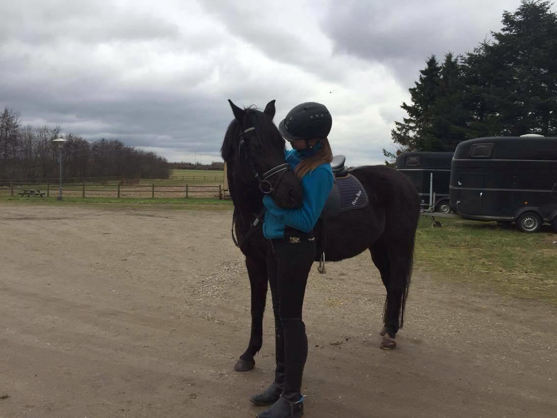 DSP Nørlunds Simone billede 11