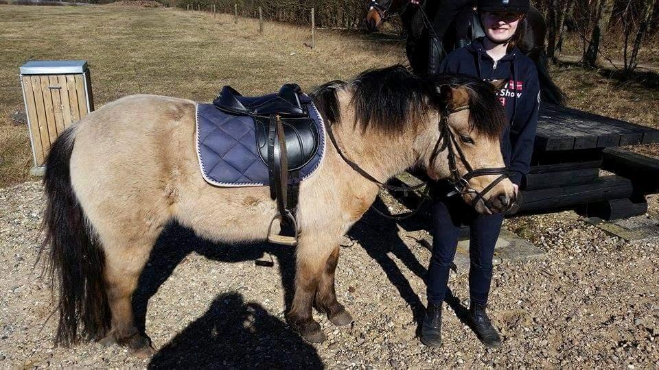 Anden særlig race Vegenå Beautie  solgt billede 3