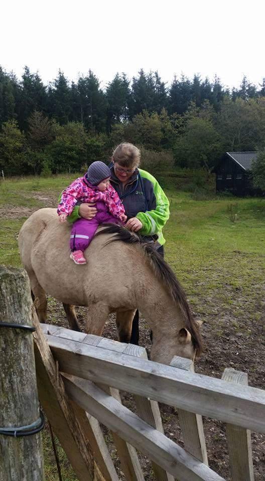 Anden særlig race Vegenå Beautie  solgt billede 6