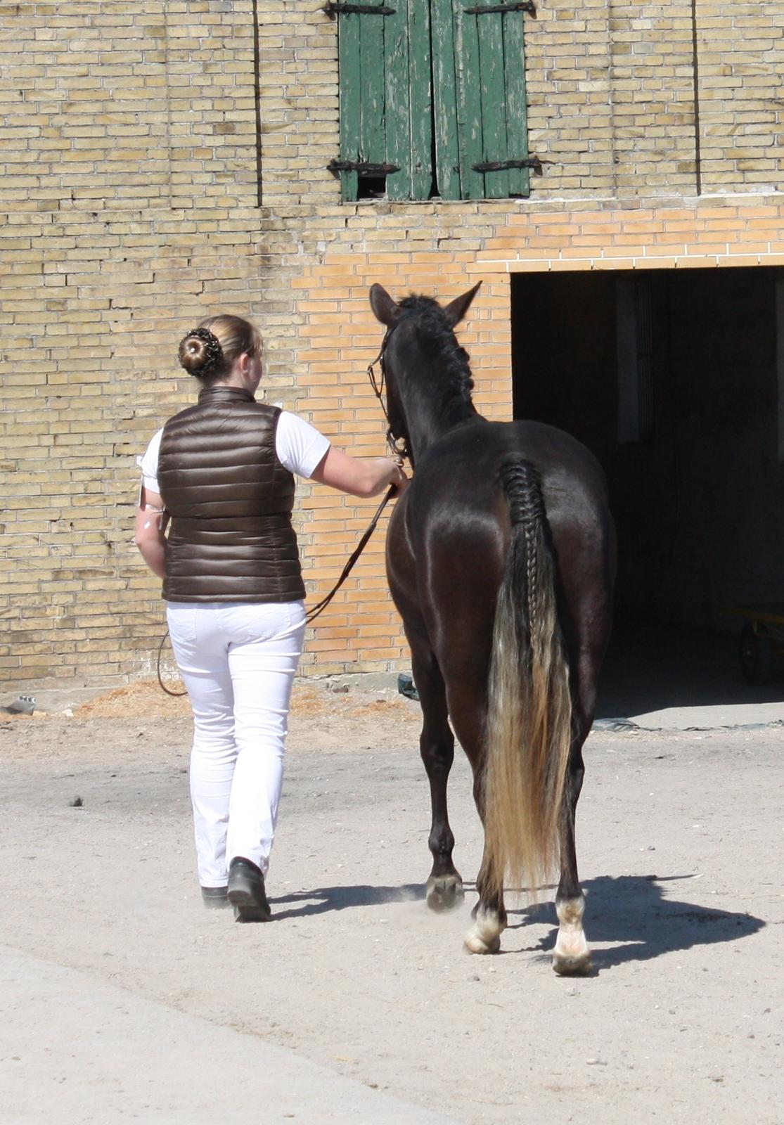 New Forest Fuglsangs Sweet Cookie billede 20