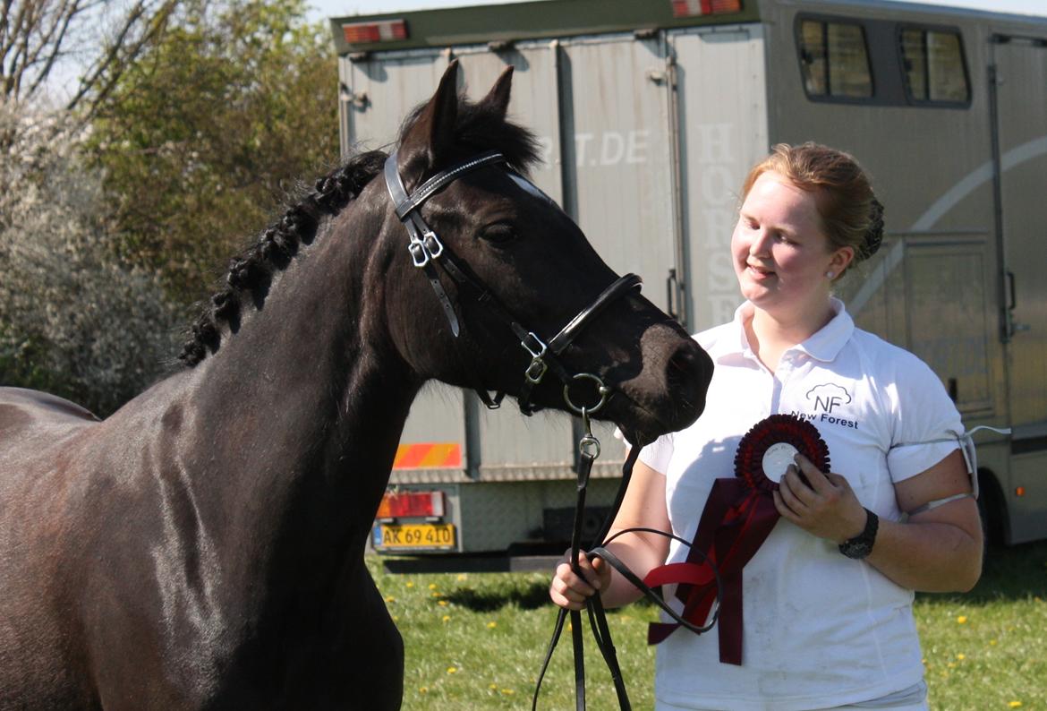 New Forest Fuglsangs Sweet Cookie billede 3