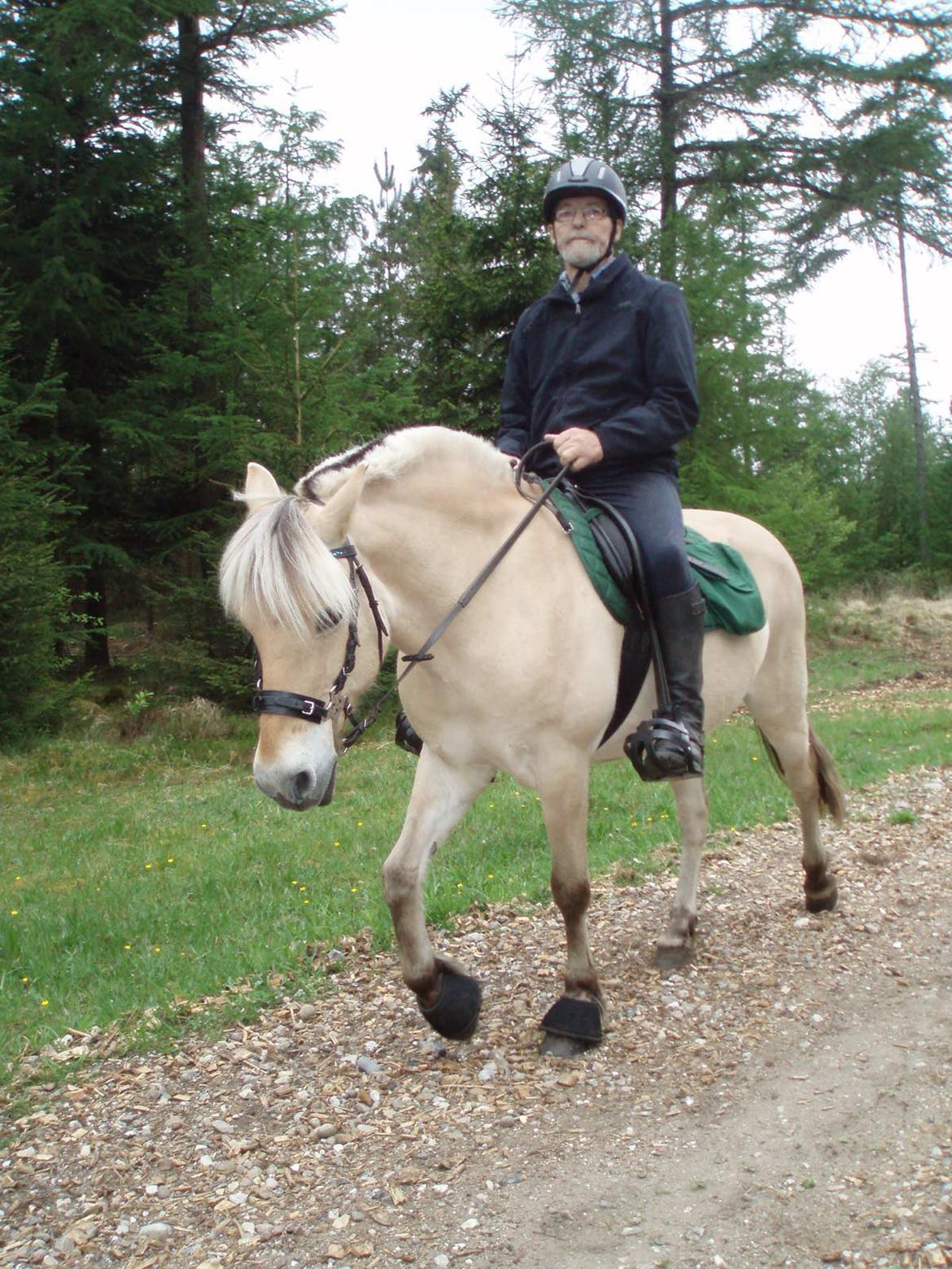 Fjordhest Vrå nikita - 21 Maj 2016 billede 23