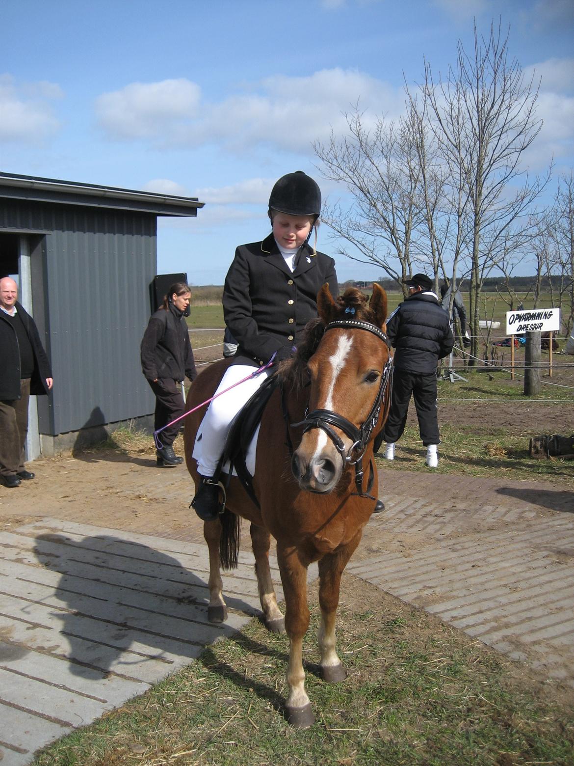 New Forest Elmholts Zeus - Zeus og jeg til stævne på Hodsager Rideklub(HORI) billede 6