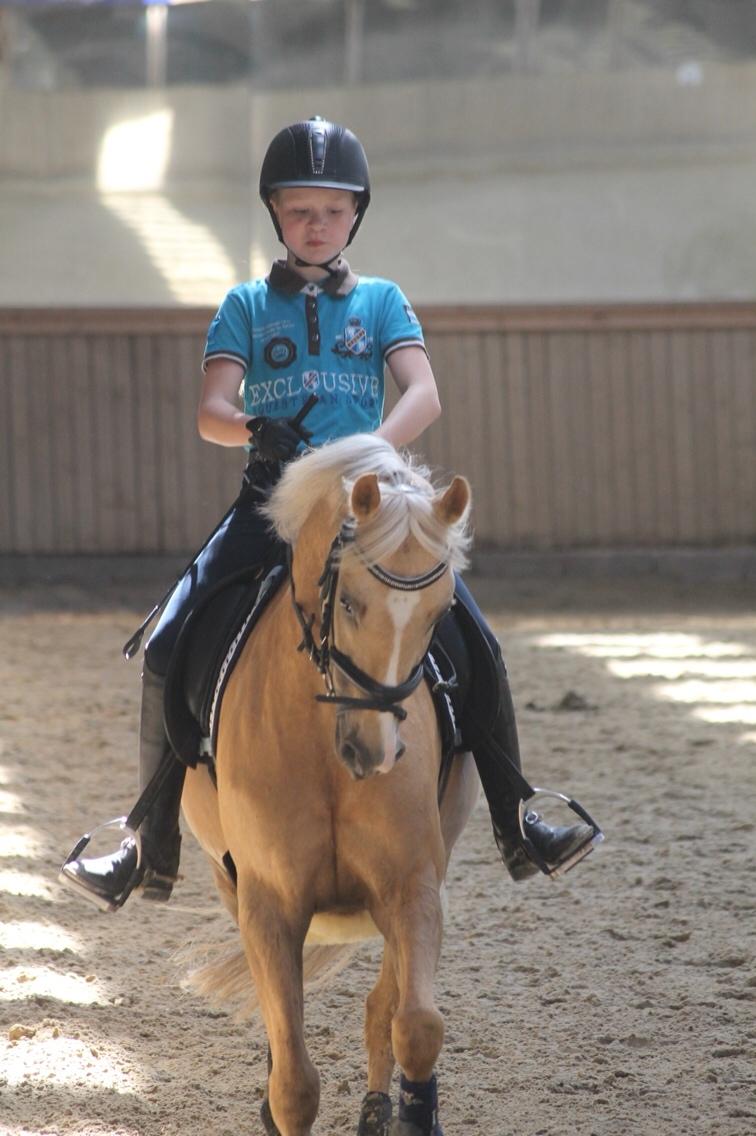 Tysk Sportspony Remember The Time S billede 2