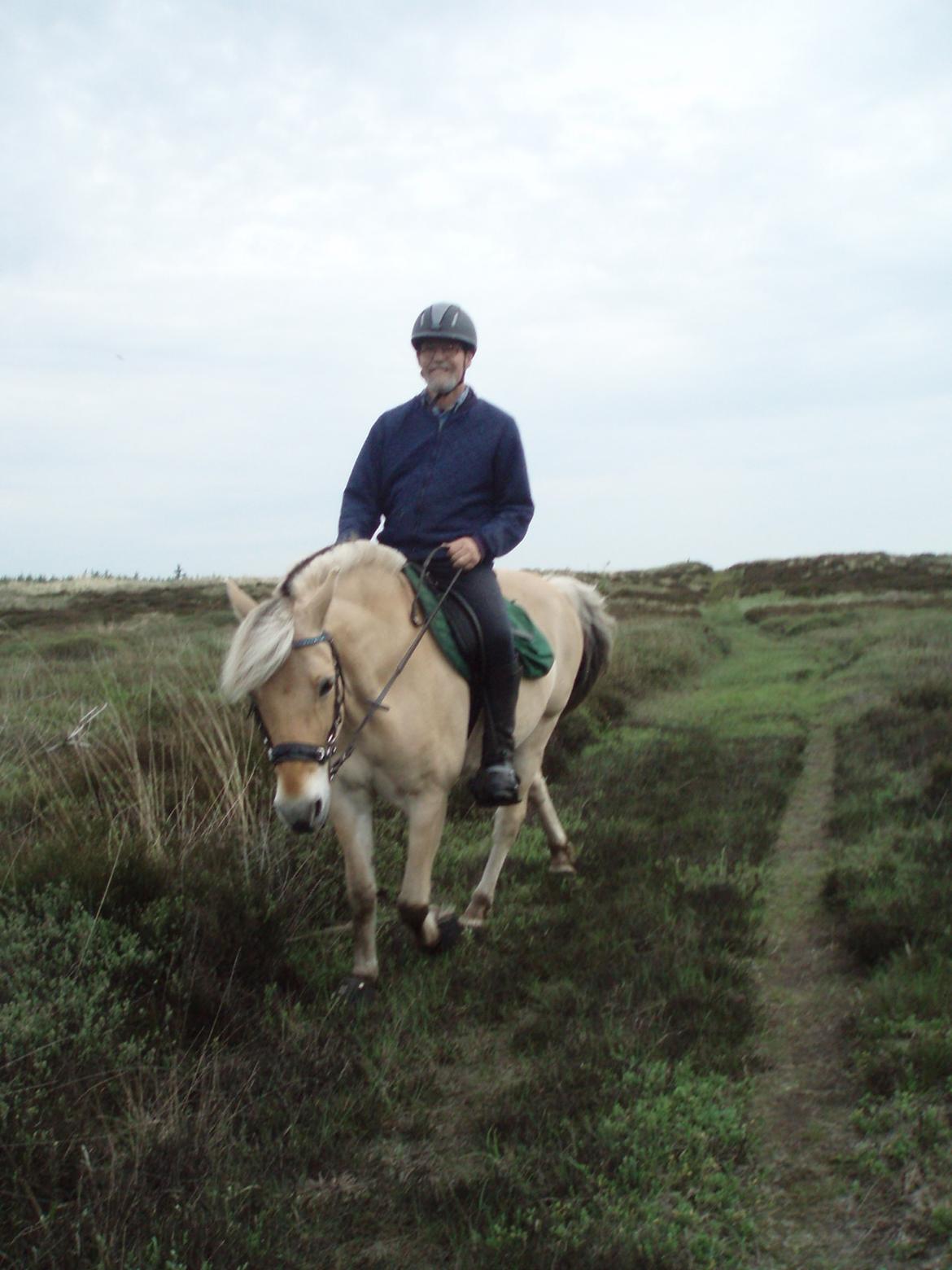 Fjordhest Vrå nikita - skovtur 22 Maj 2016 skønne Nikita billede 9
