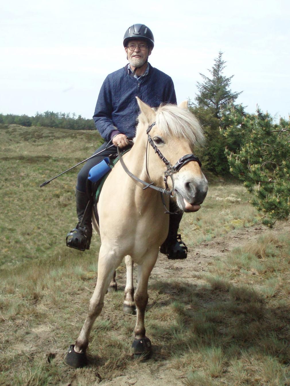 Fjordhest Vrå nikita - hun gør NAR af mig som må gå billede 11