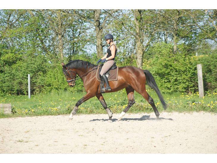 {{currentPhoto.altText}} billede {{currentPhoto.number}}