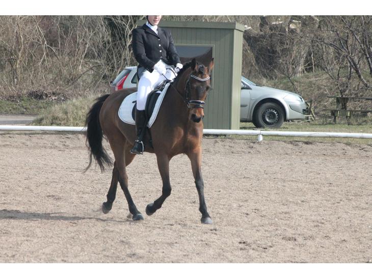 {{currentPhoto.altText}} billede {{currentPhoto.number}}