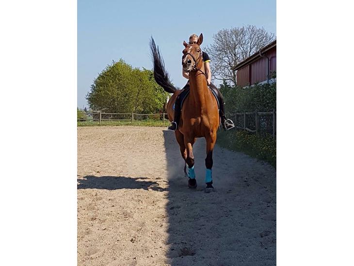 {{currentPhoto.altText}} billede {{currentPhoto.number}}