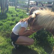 Anden særlig race Elvis